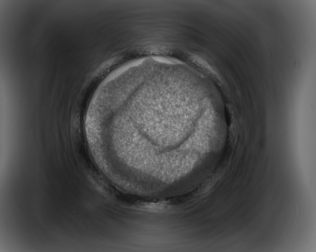 X0000084530306200703231658