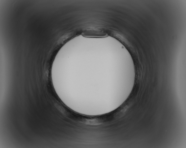 X0000084530309200703231658