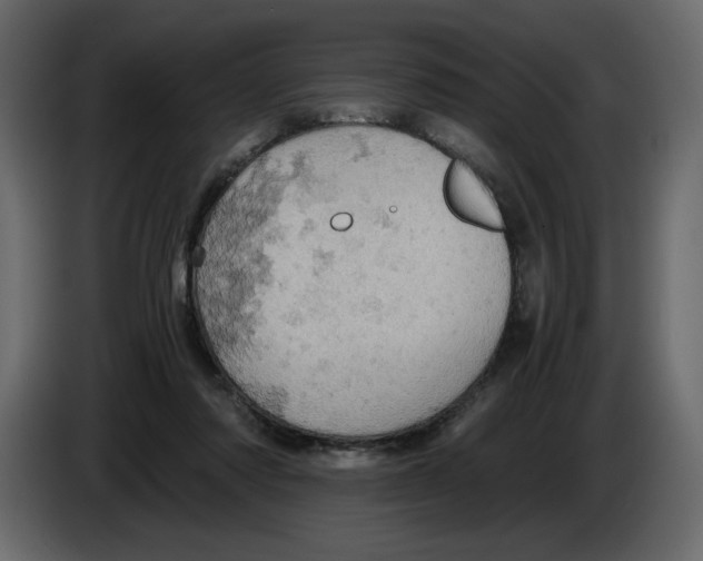 X0000084530310200703231658