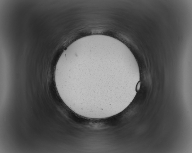 X0000084530311200703231658