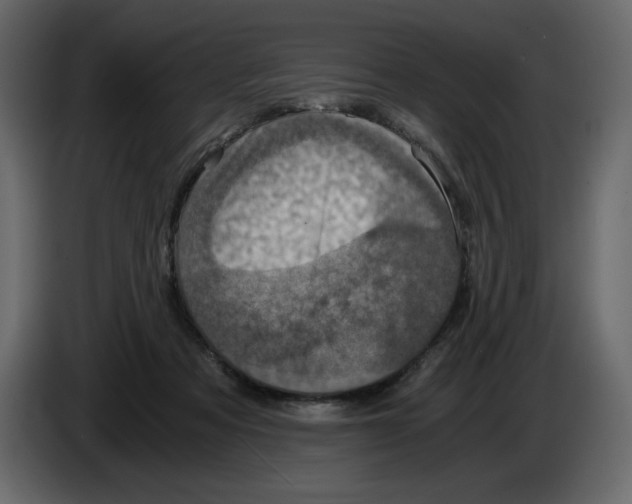 X0000084530313200703231658