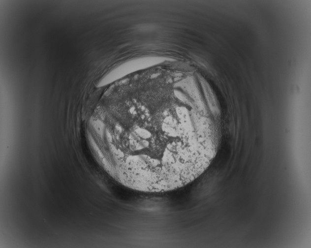 X0000084530315200703231658