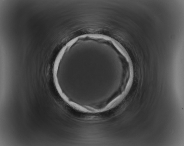 X0000084530319200703231658
