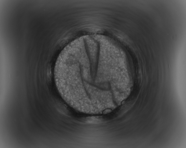 X0000084530320200703231658