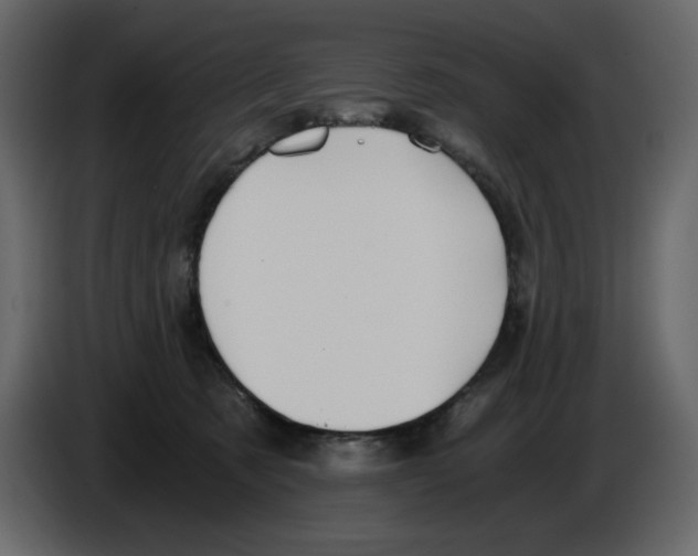 X0000084530321200703231658