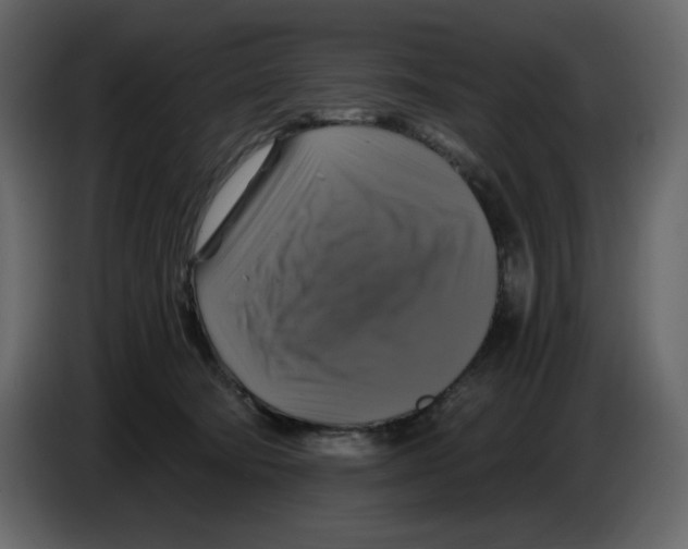 X0000084530322200703231658