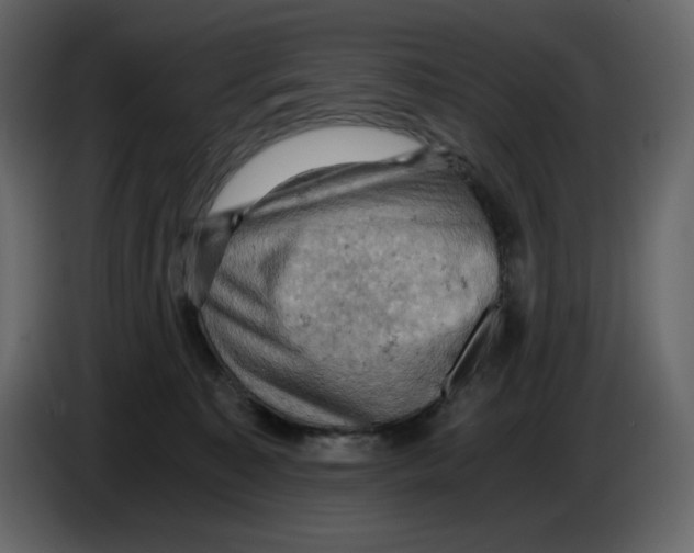 X0000084530323200703231658