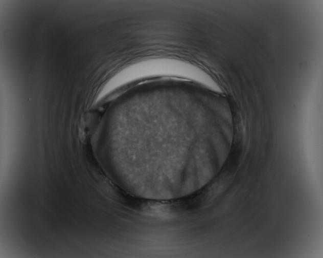X0000084530325200703231658