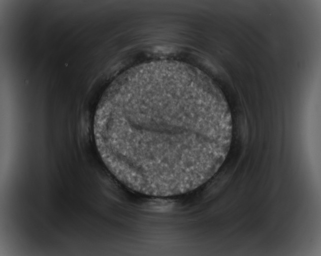 X0000084530328200703231658