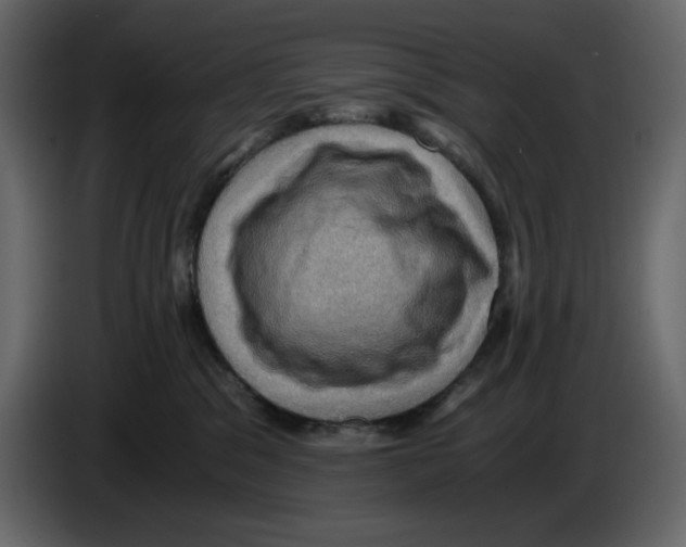 X0000084530329200703231658