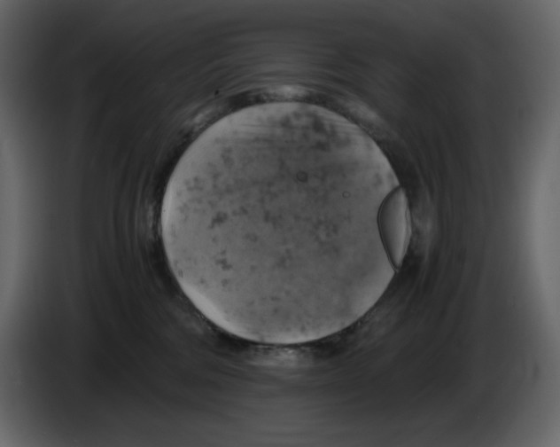 X0000084530330200703231658
