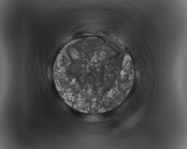 X0000084530335200703231658