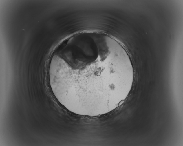 X0000084530337200703231657