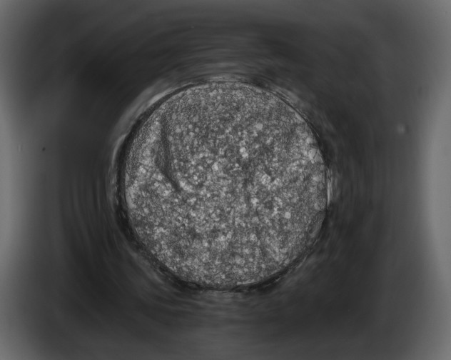 X0000084530339200703231657