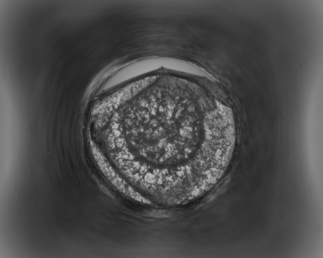 X0000084530341200703231657