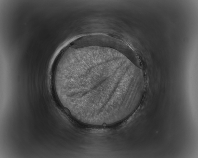 X0000084530342200703231657