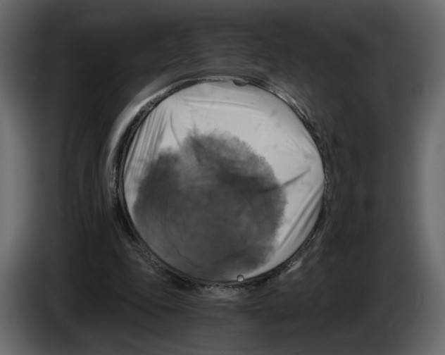 X0000084530343200703231657
