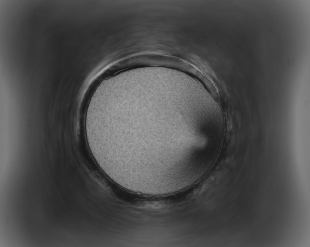 X0000084530344200703231657