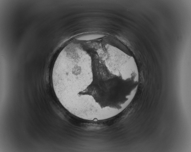 X0000084530347200703231657