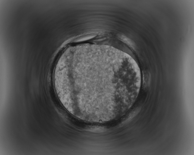 X0000084530348200703231657