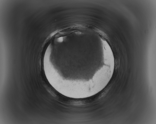 X0000084530349200703231657