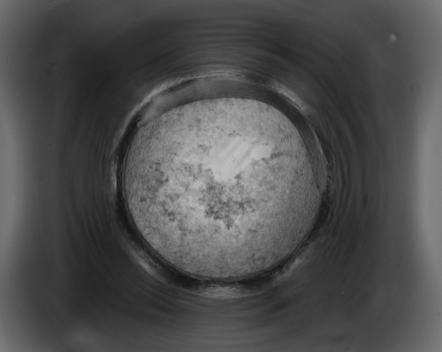 X0000084530350200703231657