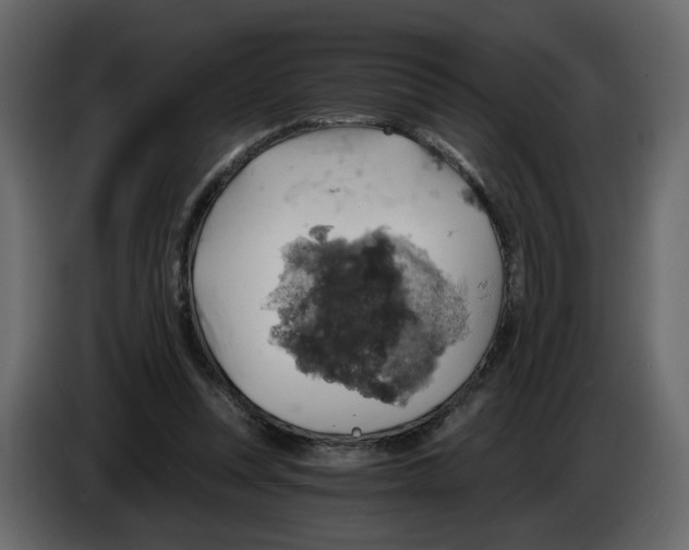 X0000084530351200703231657