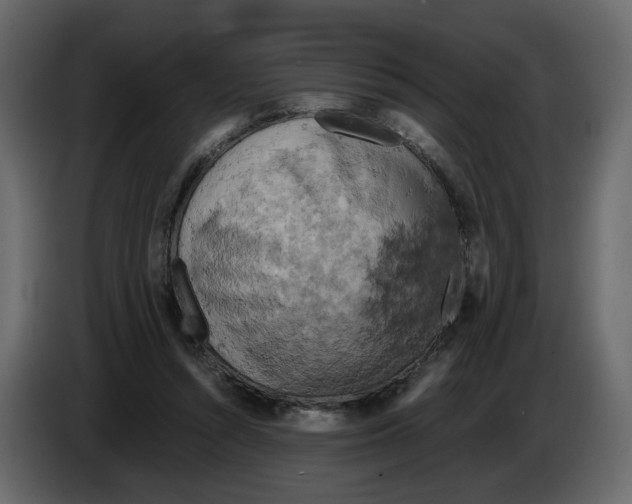 X0000084530352200703231657