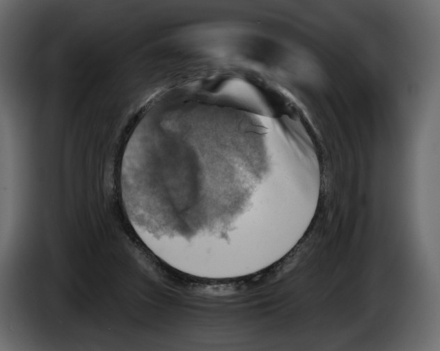 X0000084530353200703231657