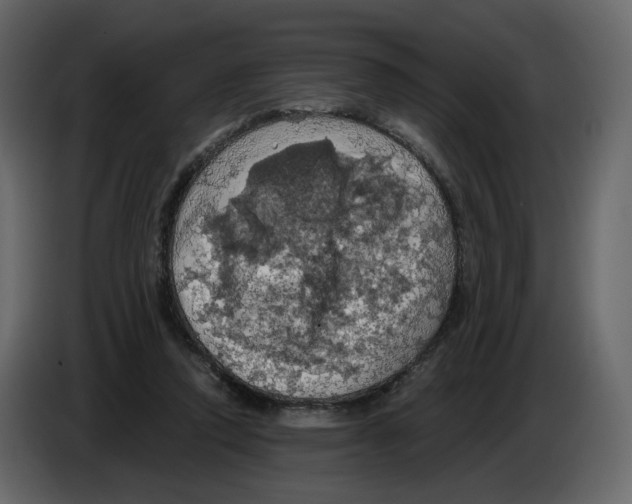 X0000084530354200703231657