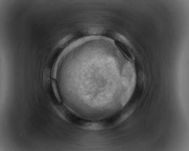 X0000084530356200703231657