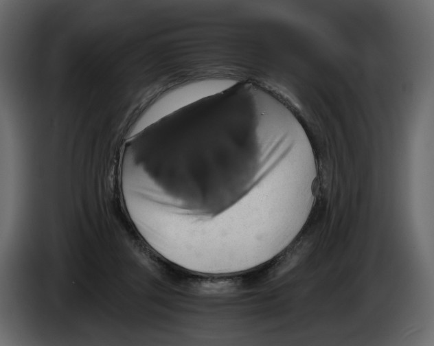 X0000084530357200703231657