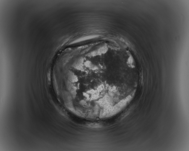 X0000084530358200703231657