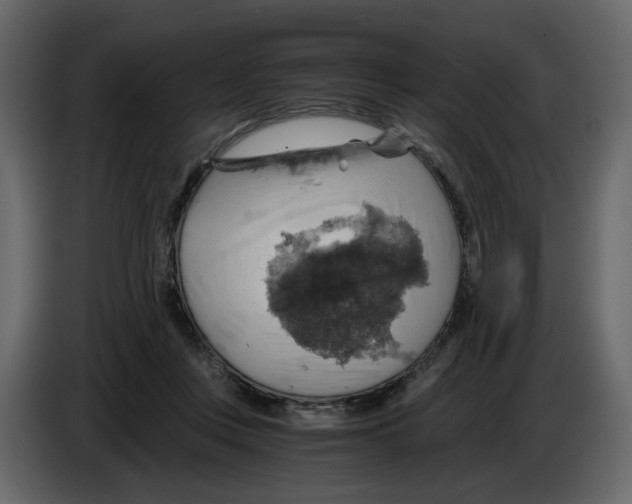 X0000084530359200703231657