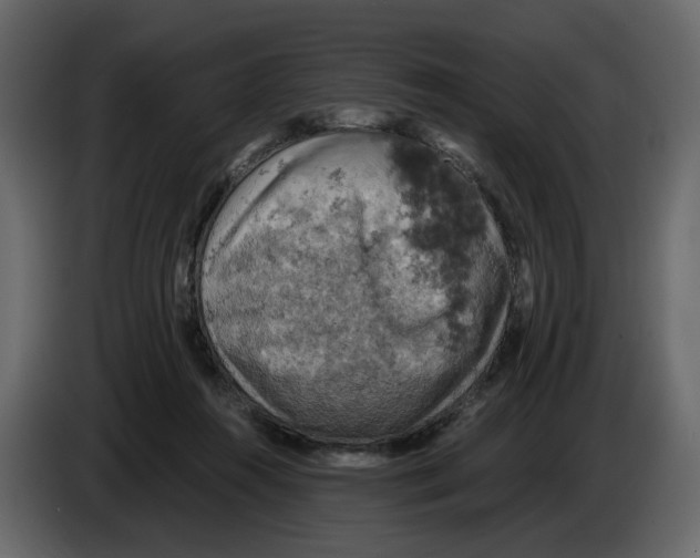 X0000084530360200703231657