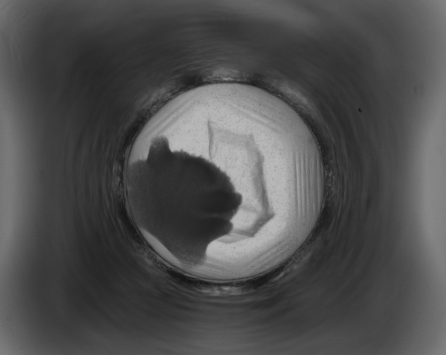 X0000084530361200703231657