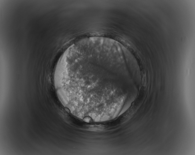 X0000084530363200703231657