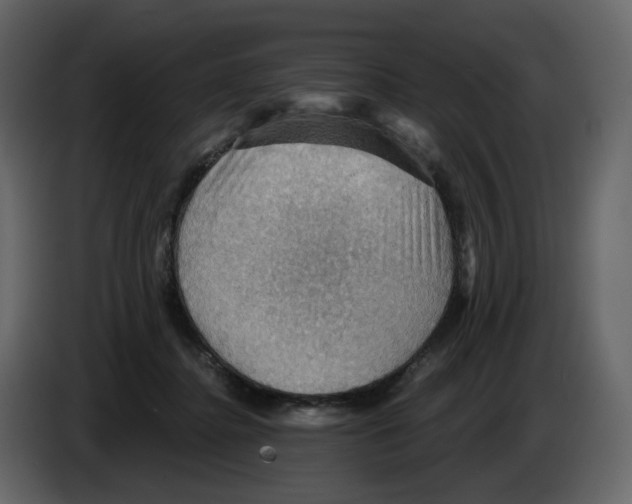 X0000084530364200703231657