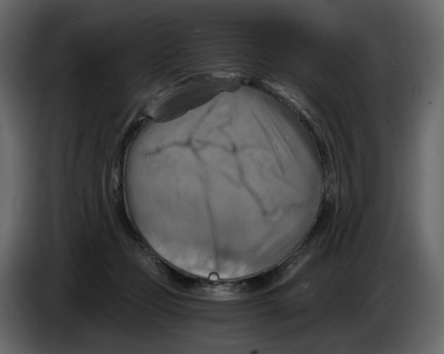 X0000084530365200703231657