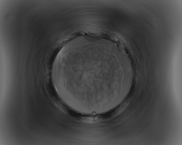 X0000084530366200703231657