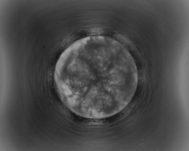 X0000084530369200703231657