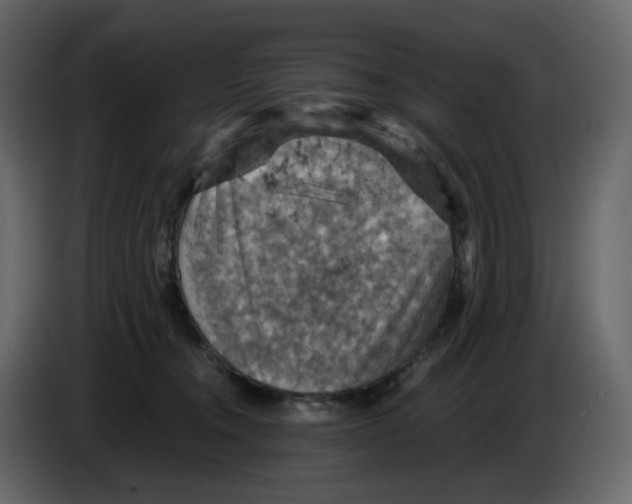 X0000084530372200703231657