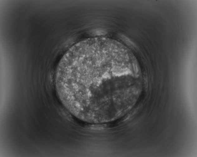 X0000084530373200703231657