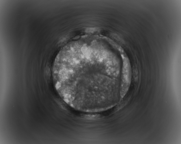 X0000084530375200703231658
