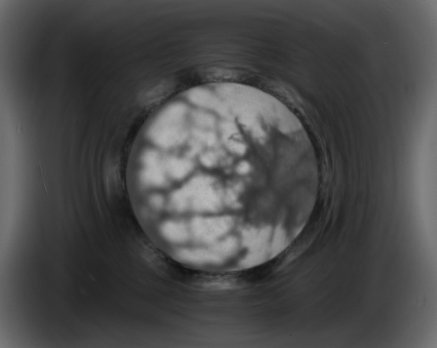 X0000084530377200703231658