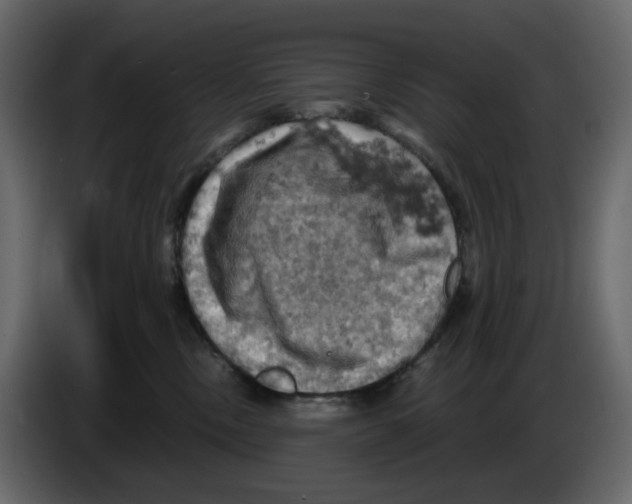 X0000084530378200703231658