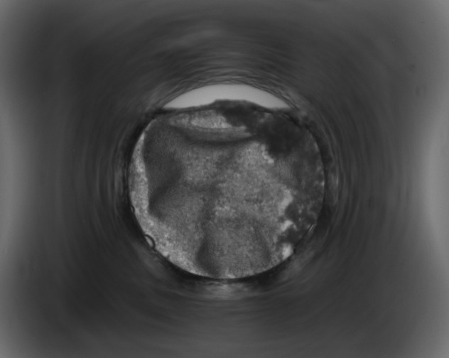 X0000084530379200703231658