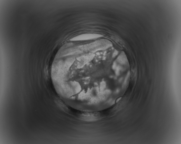 X0000084530381200703231658