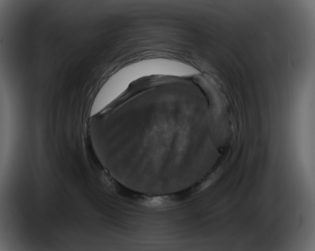 X0000084530382200703231658