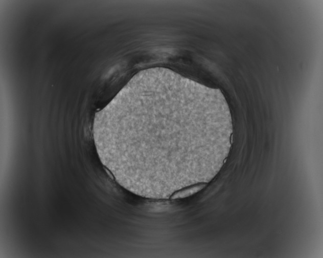 X0000084530384200703231658